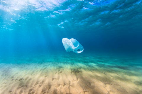 The MIA’s latest initiative aims to banish plastic from the events industry