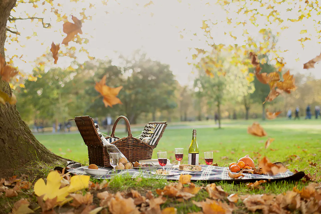 This hotel will arrange a doggy picnic for your canine pals