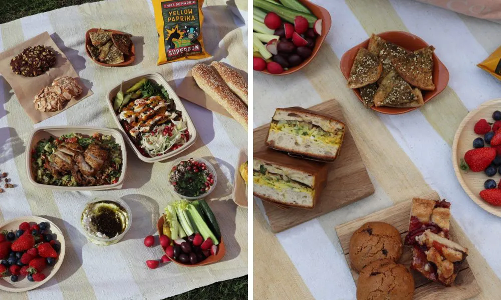 outdoor picnic spread with chicken salad crudites and more