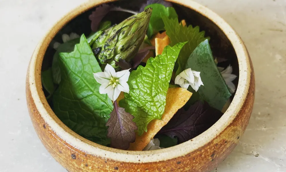 asparagus dish at bulrush bristol