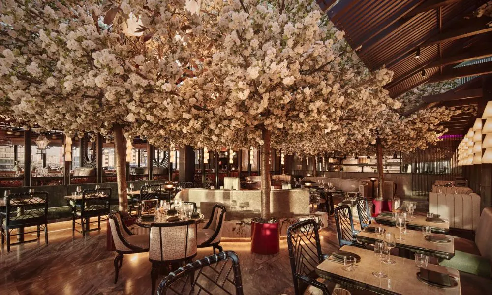 Cherry blossom tree at Tattu