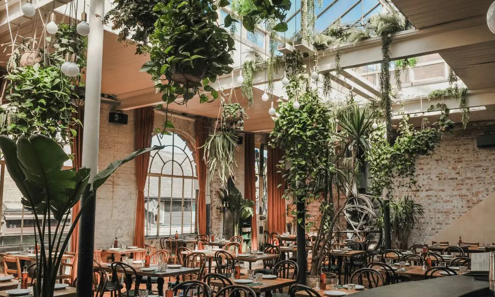plant-filled interiors at Casa London Bridge