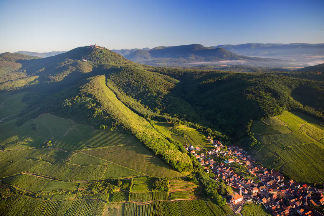 The Vosges Mountains protect the vineyards of Alsace 