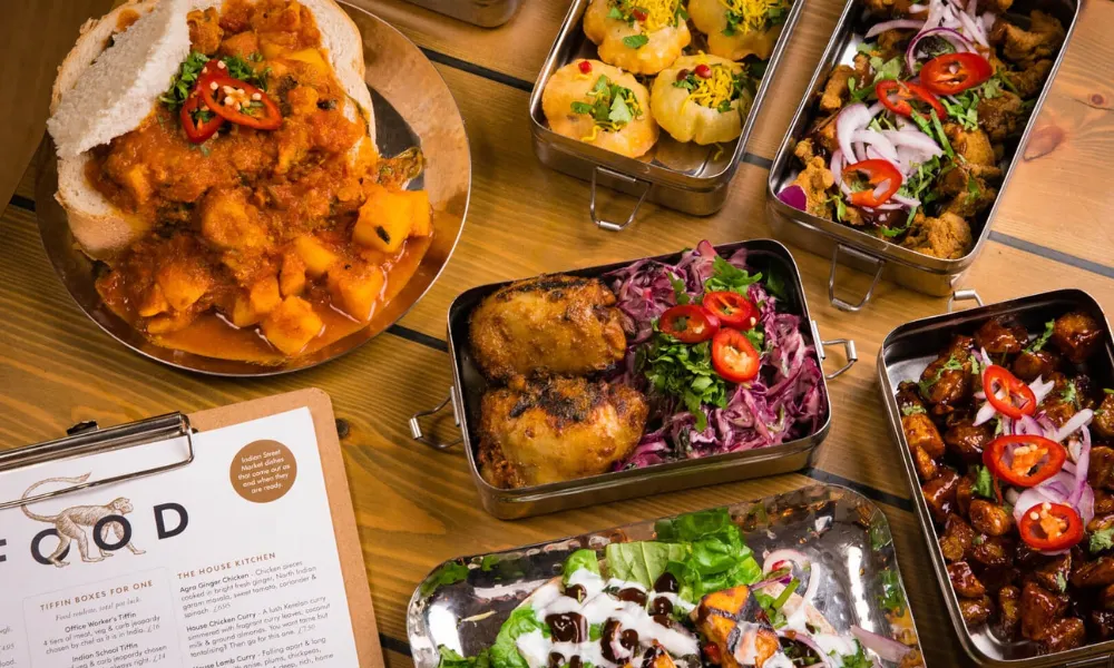 mowgli tiffin boxes