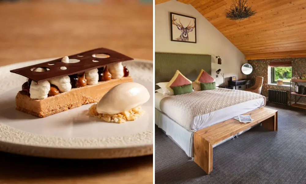Chocolate pastry dessert and one of the bedrooms
