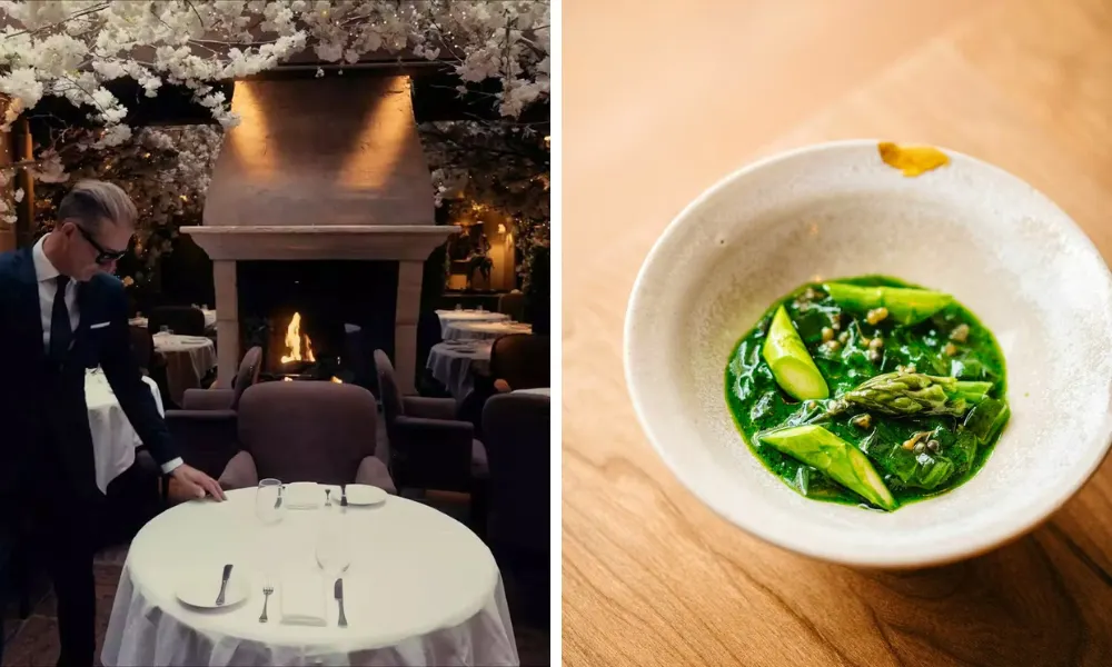 clos maggiore floral dining room and a dish from wilsons