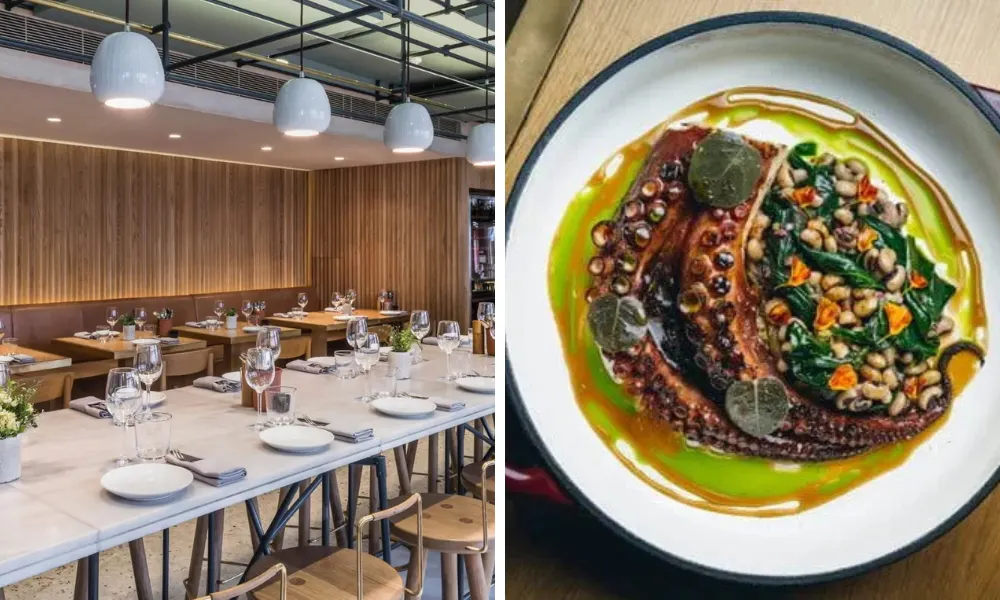 octopus dish at opso