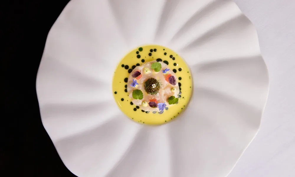Michael caines signature scallop ceviche