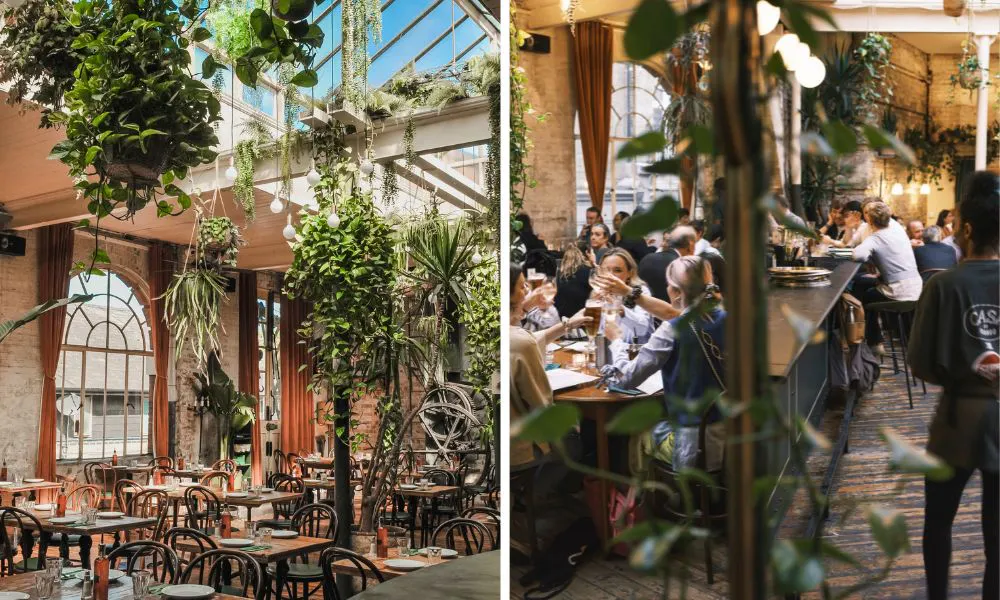 Foliage filled interiors