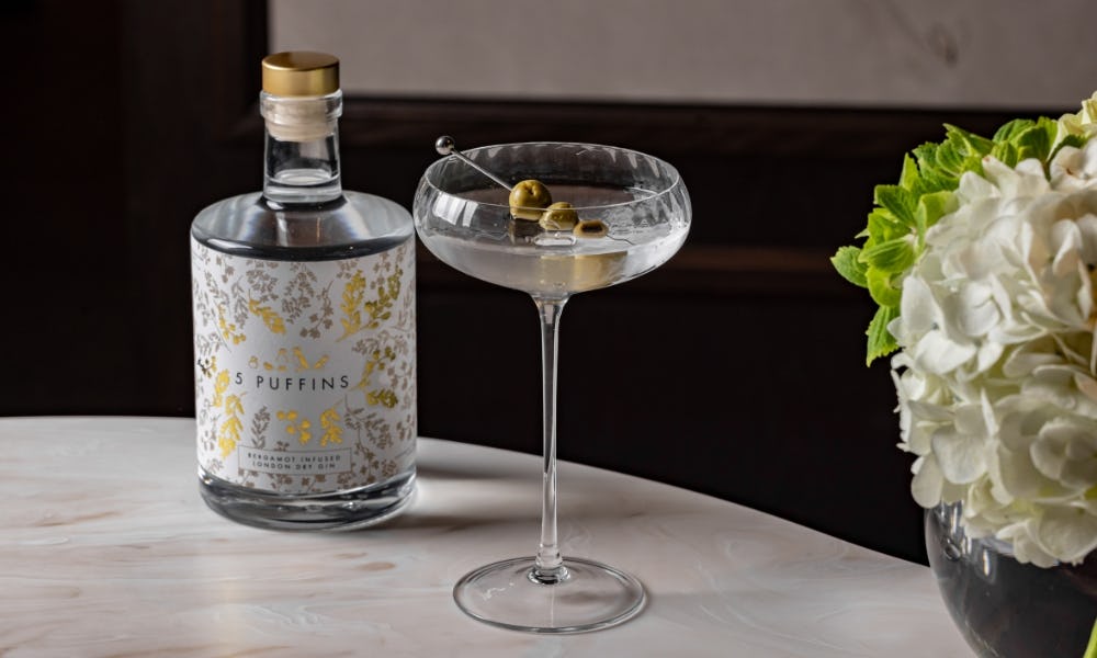 35 best gins to drink in 2024