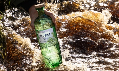 29 best gins to drink in 2025