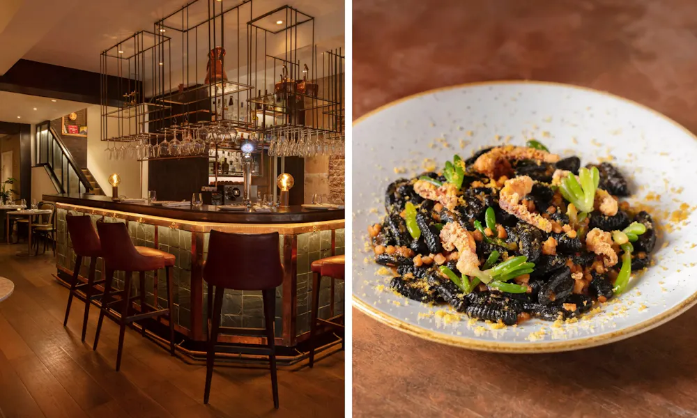 seasonal pasta dishes at the bar at the ninth