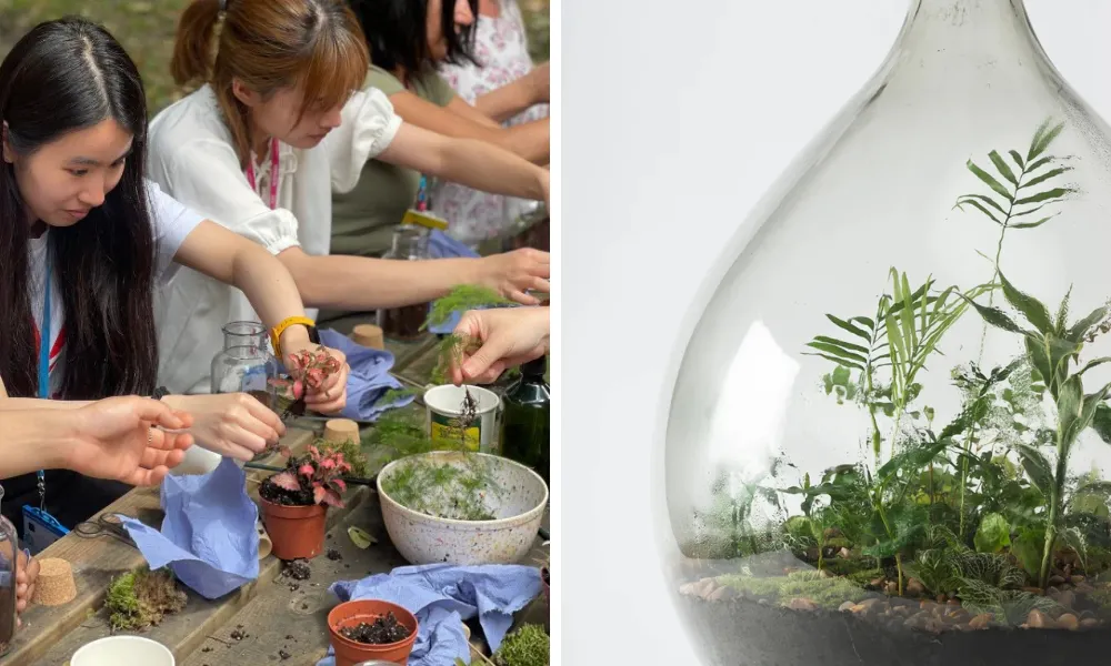 terrarium building workshop