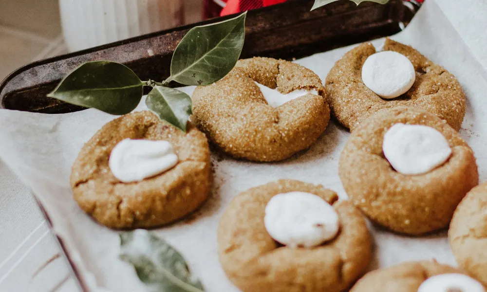 xmas biscuits