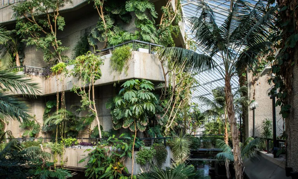 The Barbican conservatory