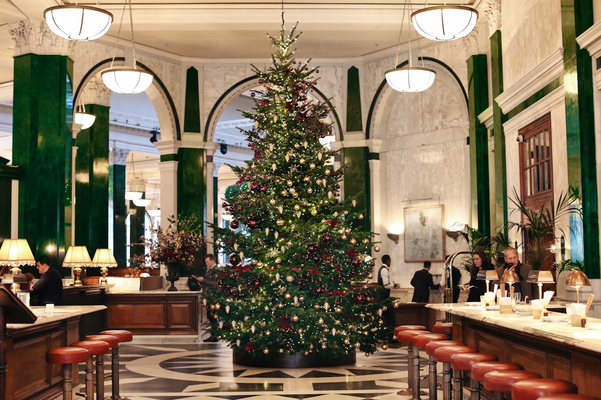 The best Christmas trees in London for 2019