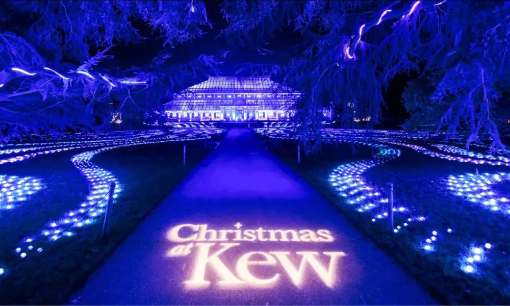 greenhouse and trees lit up at kew gardens