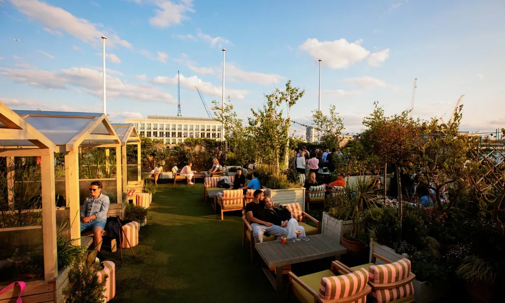 rooftop with astroturf, sofas, and greenery