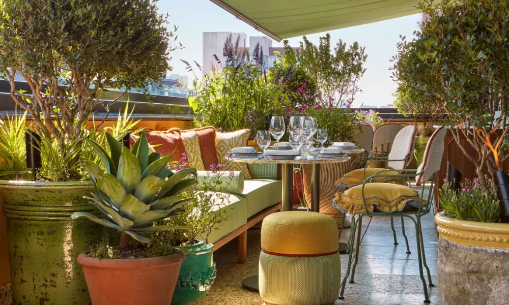 pastel coloured rooftop terrace full of plants