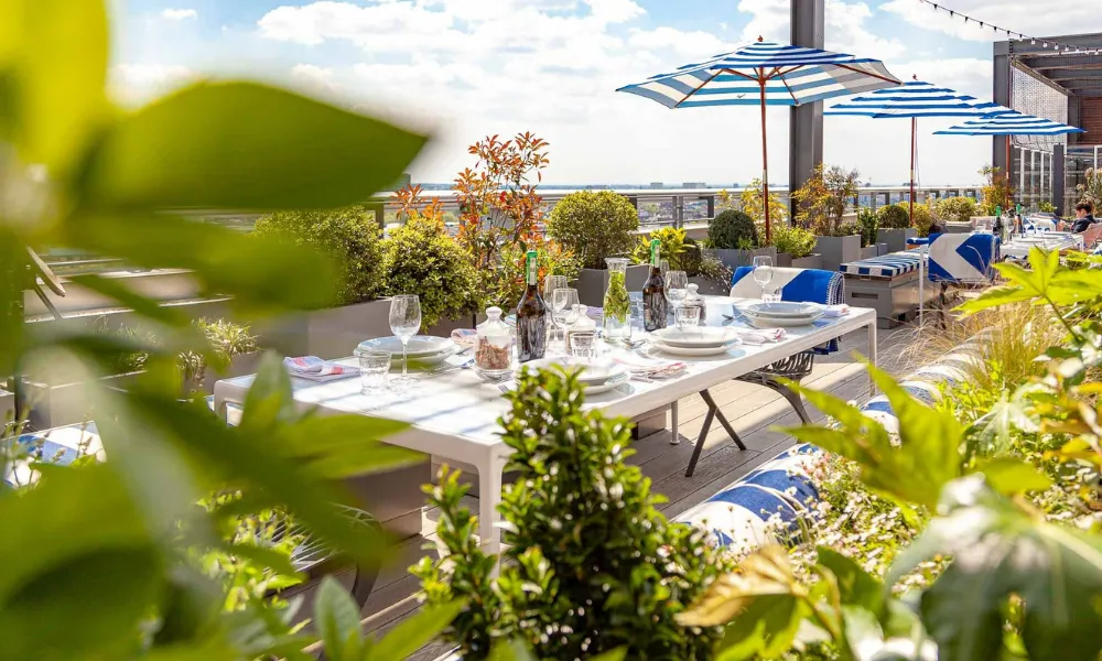 greenery and umbrellas at rooftop bar at Skylark