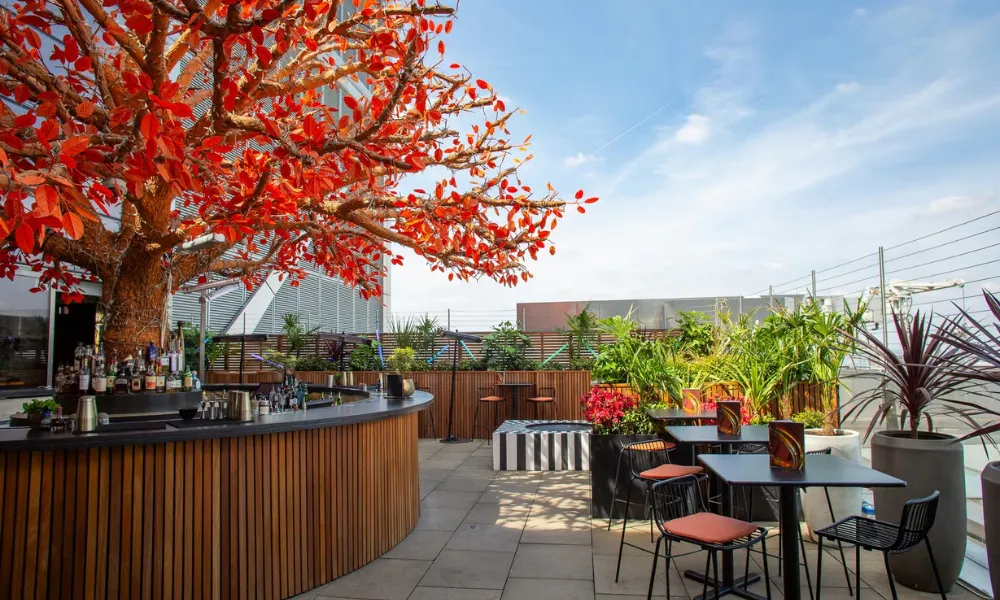 tree in bloom on the roof of sushisamba