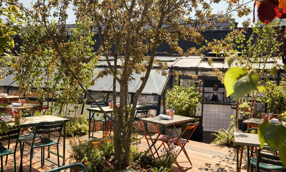 the culpeper rooftop garden