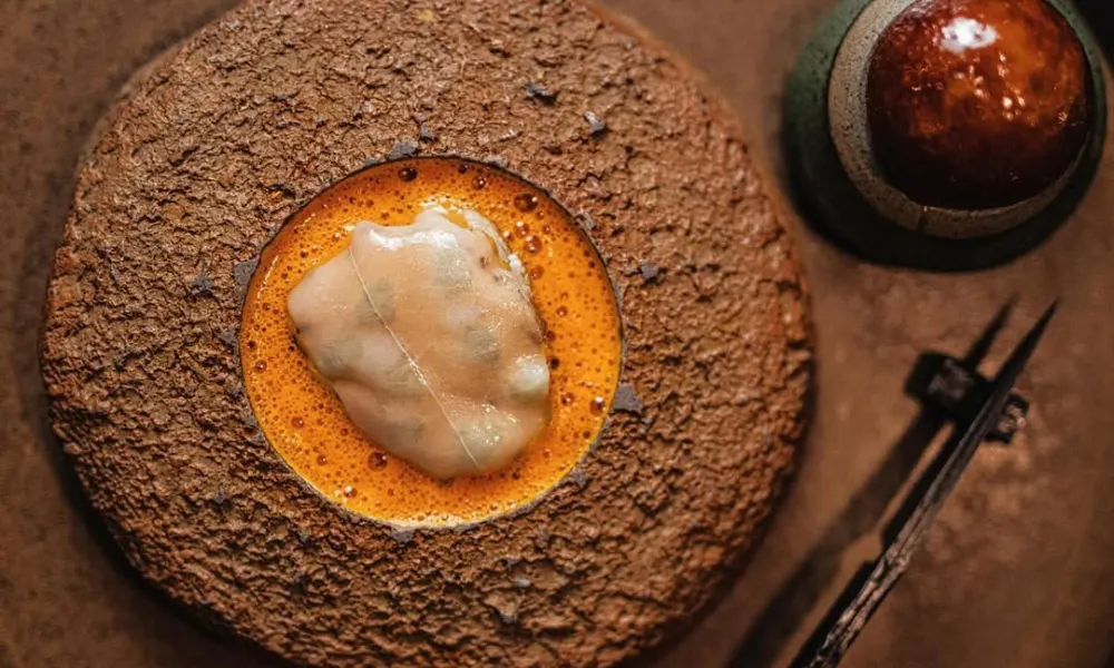 white meat in orange broth set in earth-like bowl
