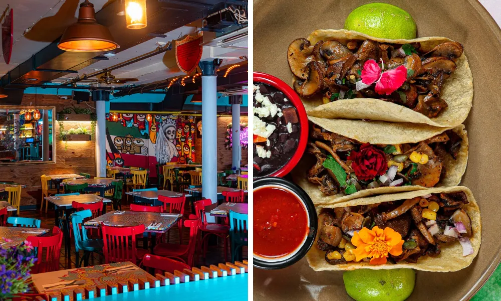 colourful cafe pacifico tacos
