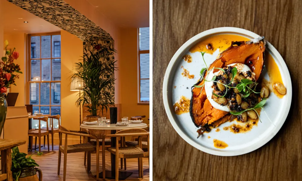 santo remedio marylebone