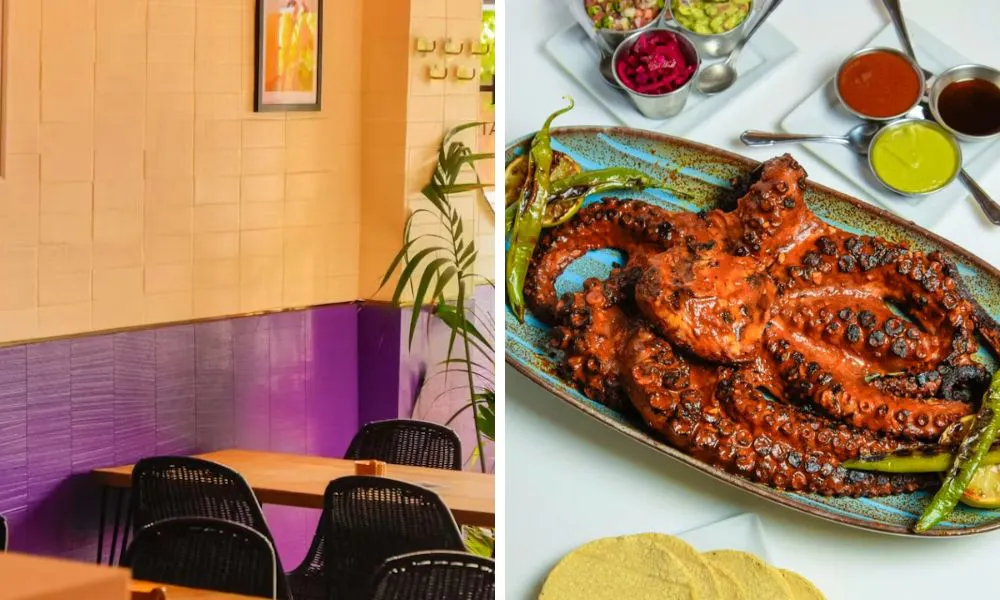 restaurant with purple walls and plate of octopus
