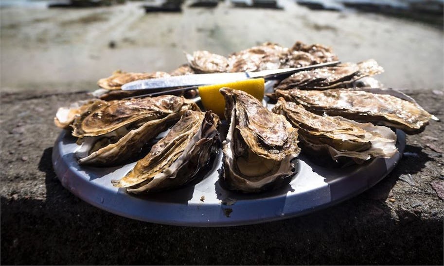Whitstable Rocks Oyster Festival 2025 everything you need to know