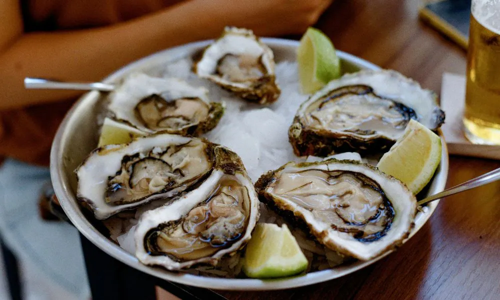 a plate of oysters on ice