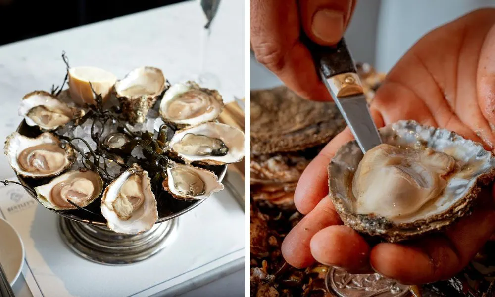 selection of oysters with lemon and person shucking an oyster