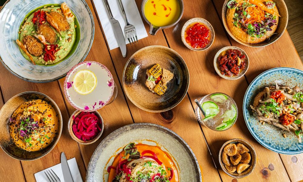 Good vegetarian restaurants near me discount