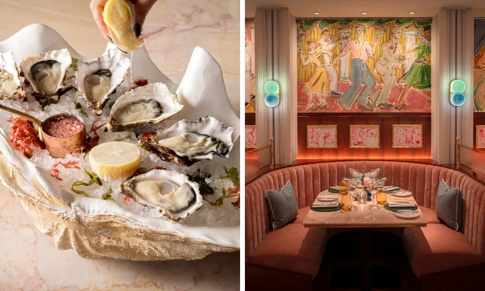 oysters at rosi