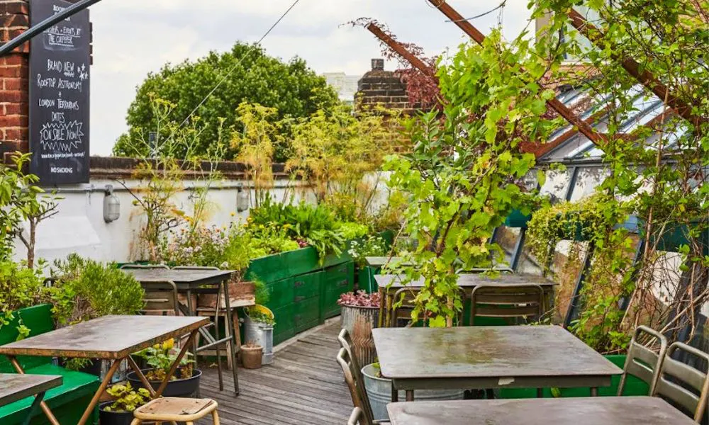 the culpeper roof terrace