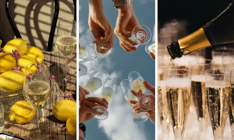 Best Prosecco 2025: 20 of the best value bottles