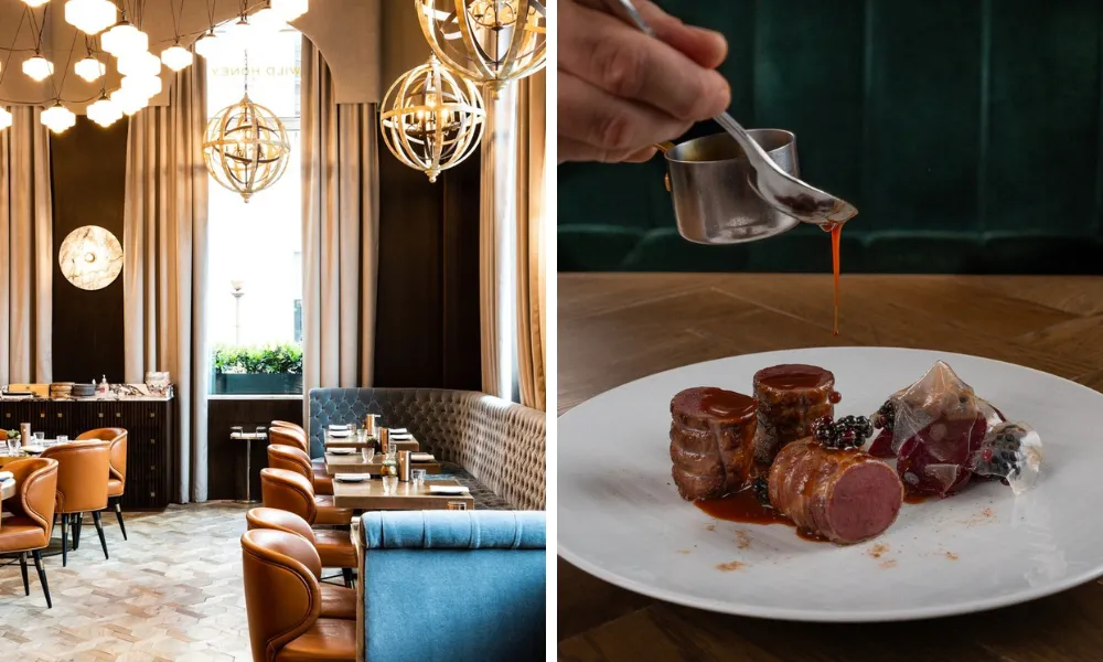 wild honey venison dish
