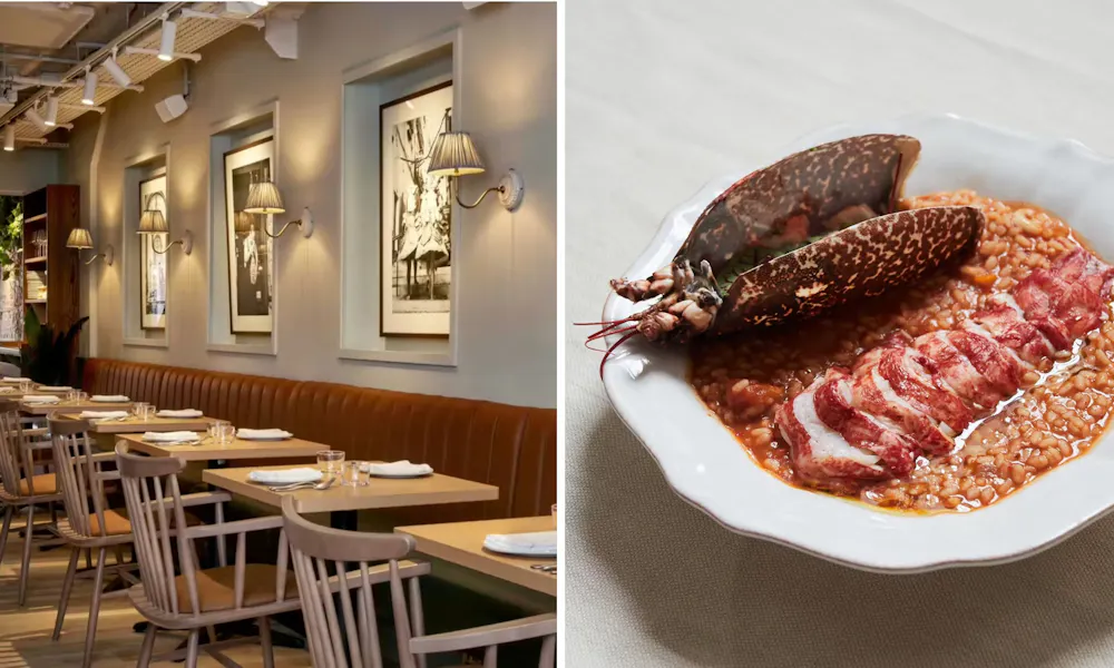 Luso interiors and lobster rice dish