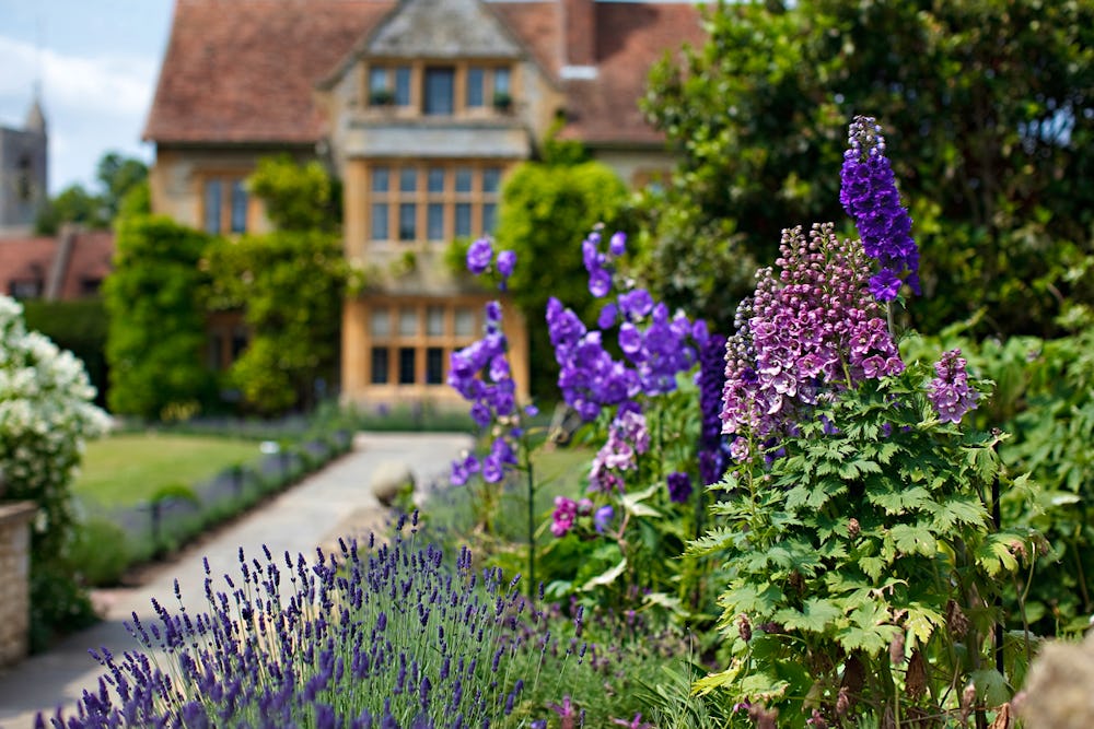 The garden at Le Manoir aux Quat'Saisons