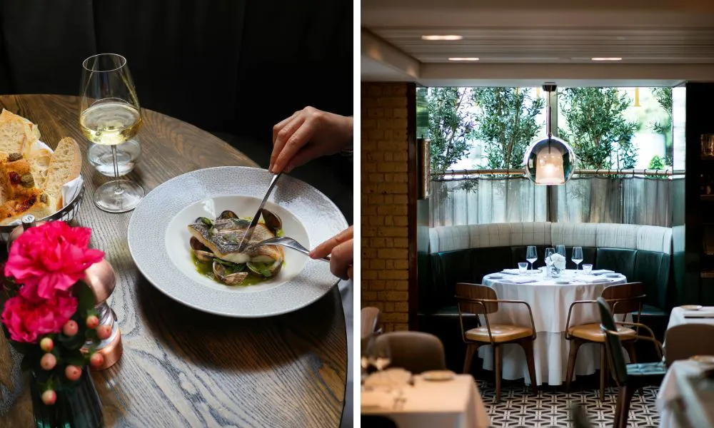 fish dish and elegant restaurant interiors