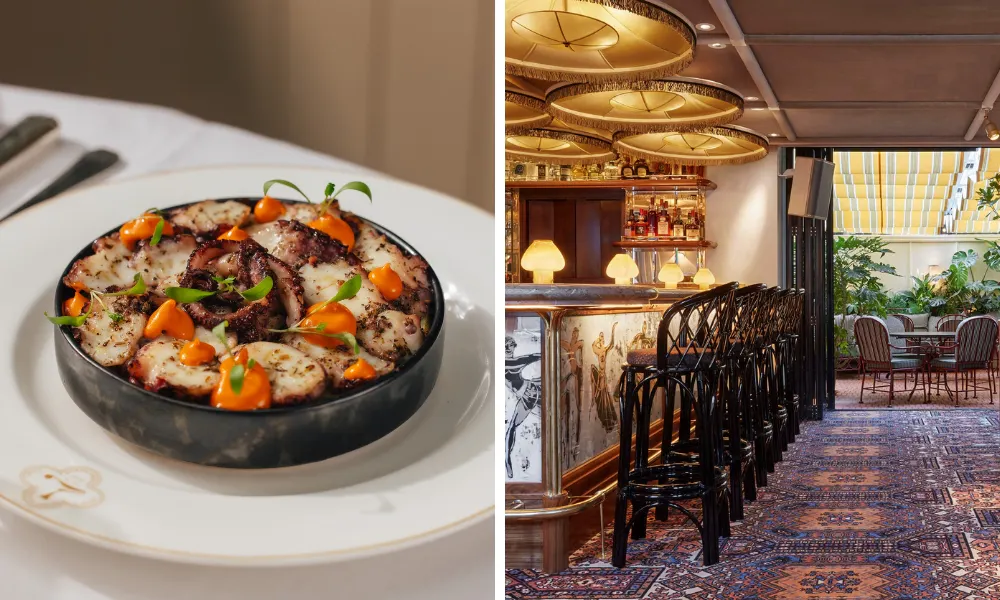 warmly lit bar and bowl with octopus