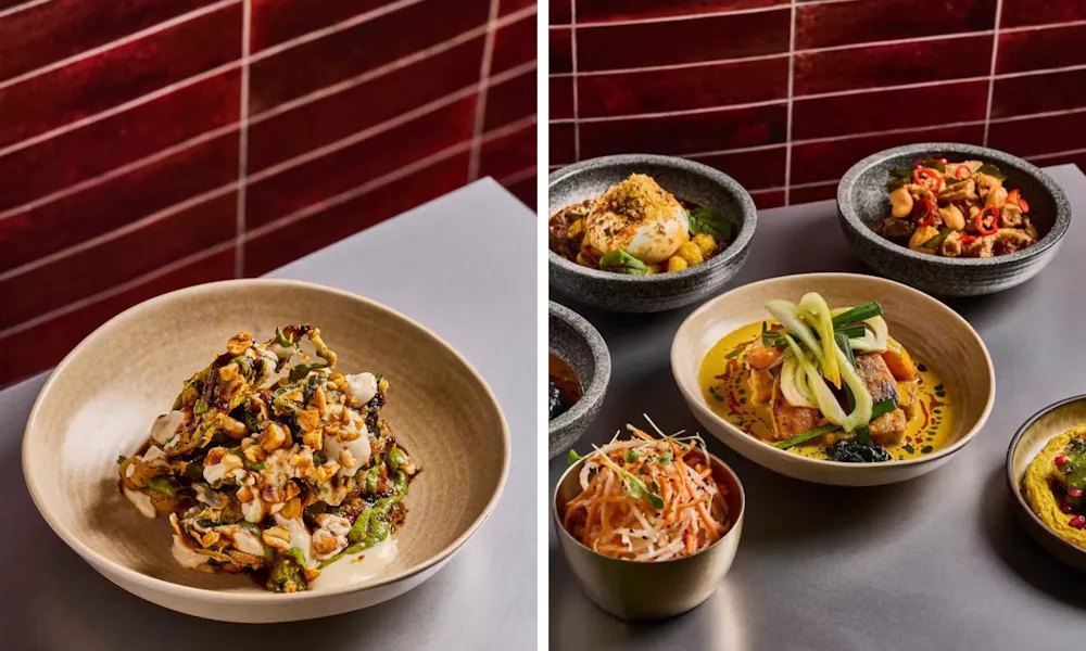 vegetarian indian cooking at tangra