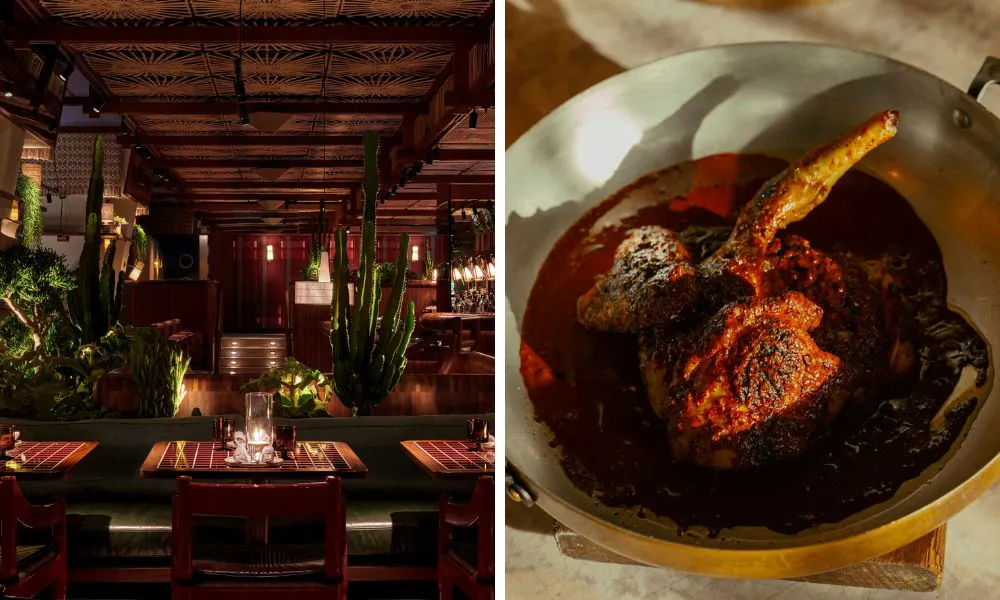 Dimly lit restaurant and rack of lamb