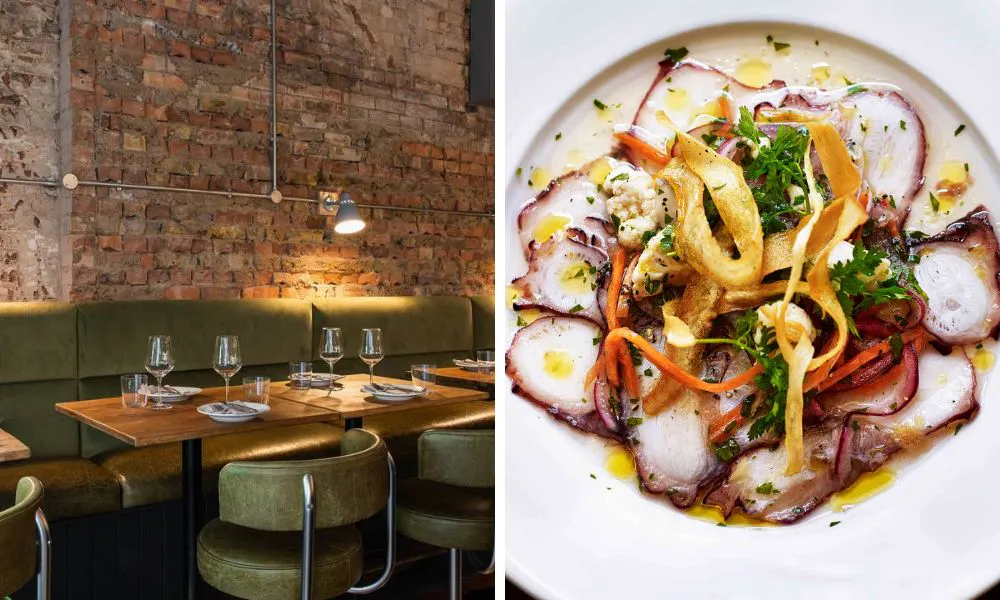 Olive green interiors and octopus crudo