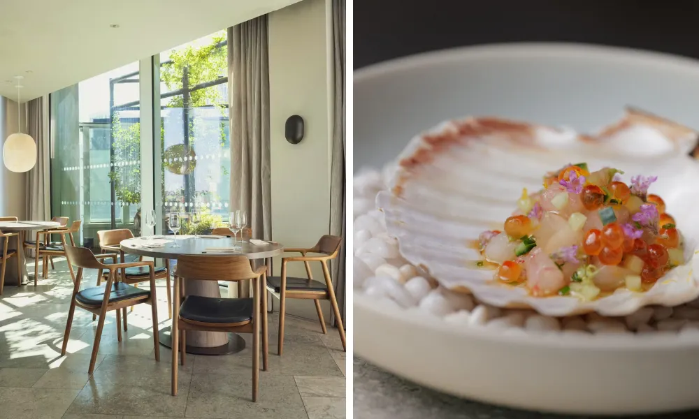 scallop at kokin stratford