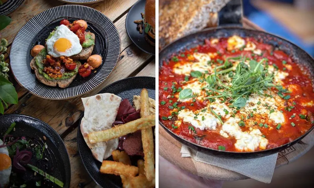 fried egg and avocado on toast and shakshuka