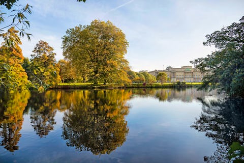 You can now enjoy a picnic delivered to the Queen's private gardens at Buckingham Palace