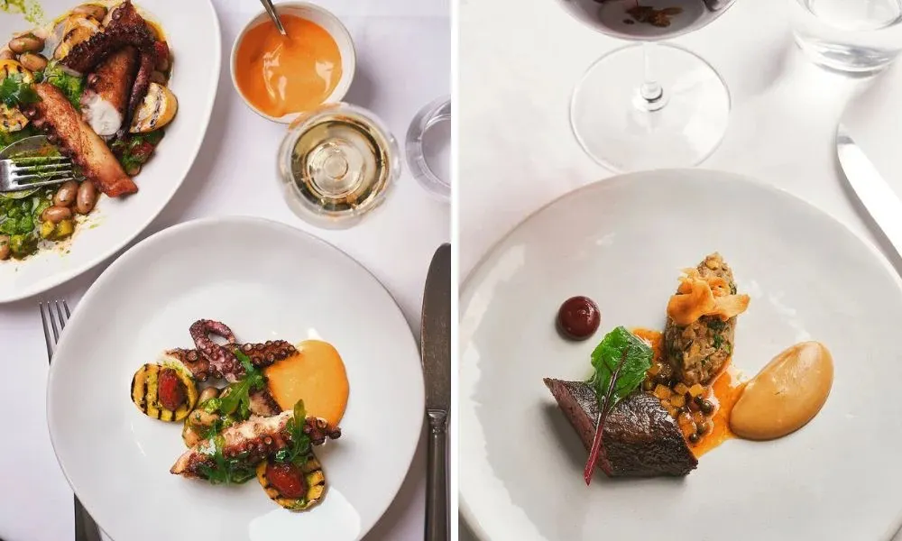 Octopus dish and game dish