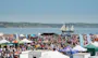 Dorset Seafood Festival 2026: Everything you need to know about Dorset's seafood festival this year 
